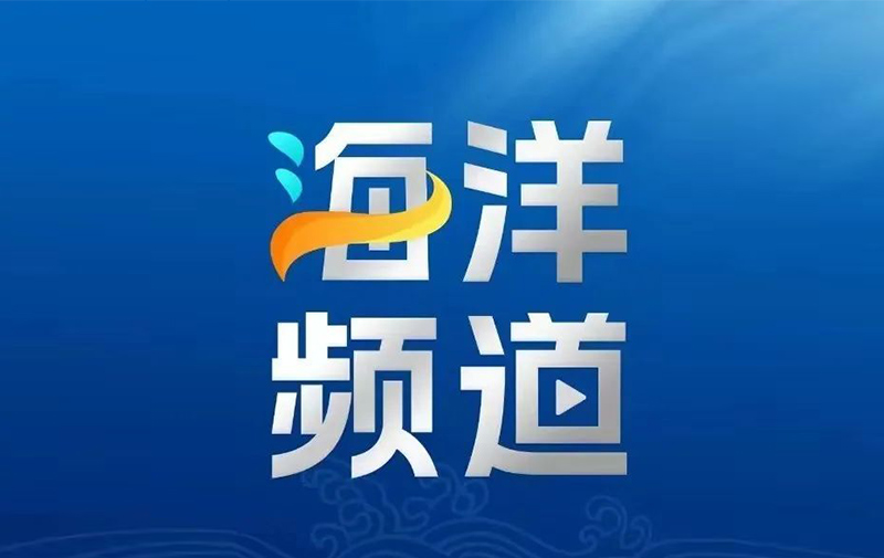  年产量超过20吨 产值超过3亿元丨山东助力“小海马”走上“大产业”、“大健康”高质量发展之路